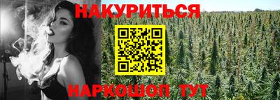 прущие грибы Апшеронск