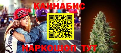 прущие грибы Апшеронск